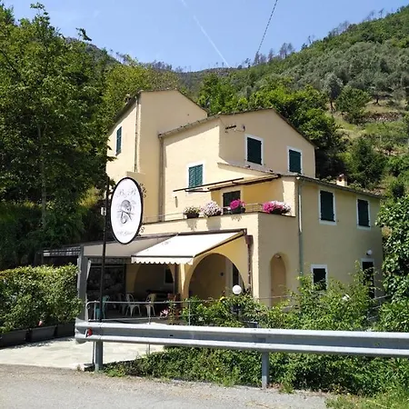 Il Ghiro-3