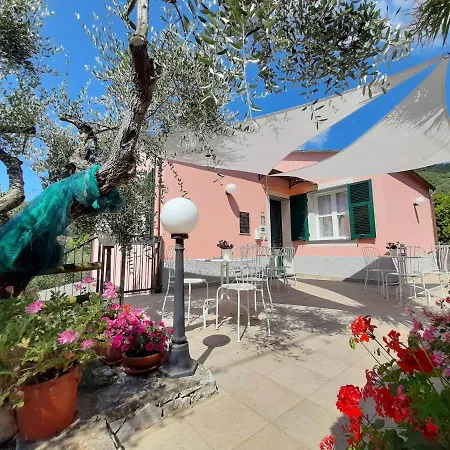 Amandolevanto B&B-3